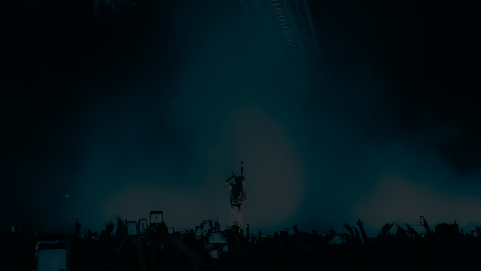 Ticket<br>Ultimate Vibes